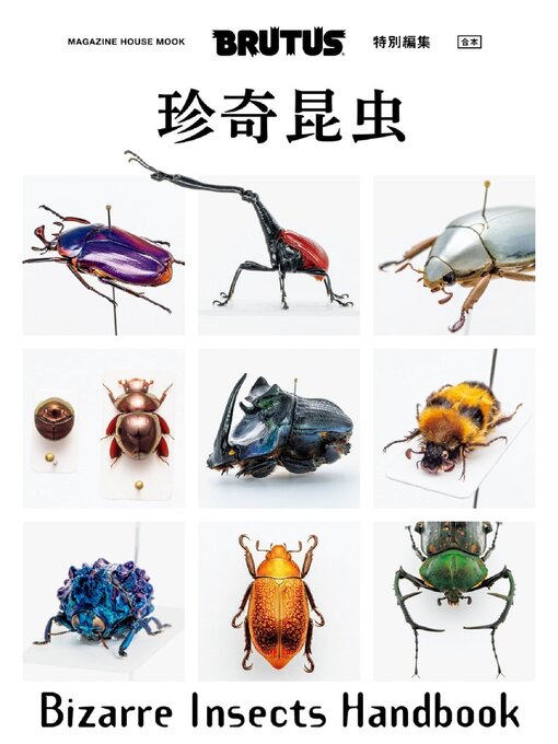 Cover image for BRUTUS 特別編集
